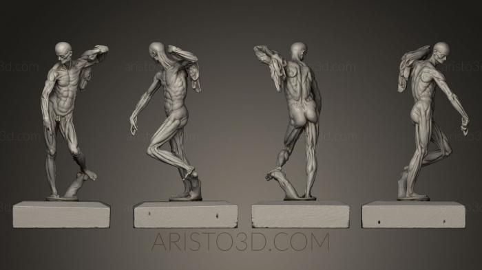 Anatomy of skeletons and skulls (ANTM_0003) 3D model for CNC machine